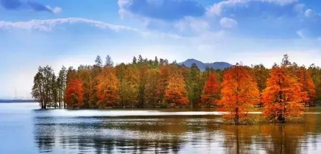 Pick杭州新房价洼地!临安打造半小时通勤圈加