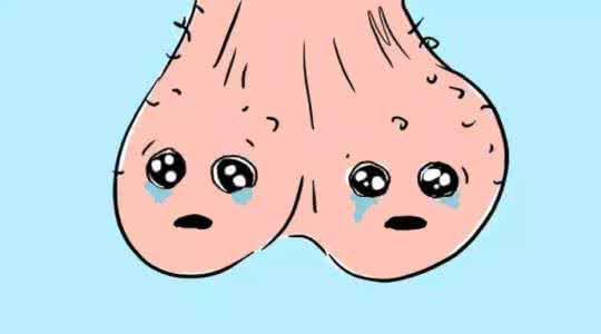 为何我们的两个蛋蛋是悬在体外的