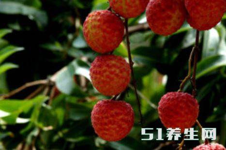 平滑，无毛的野荔枝，像是山里的“野娃娃”_凤凰网健康_凤凰网