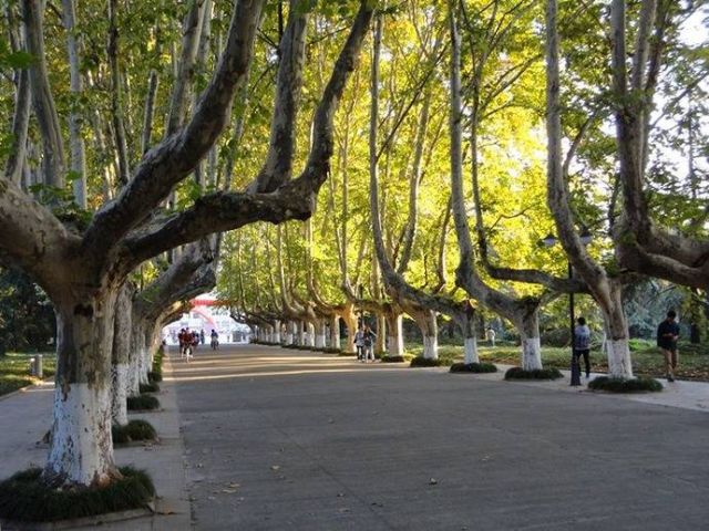 扬子津校区是扬大最新的校区,或许扬子津校区并没有文汇路校区