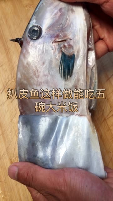 扒皮魚也叫皮匠魚,燉粉條真的好吃,喜歡的給我一個雙擊哦