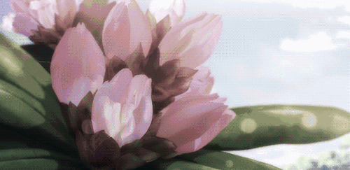 500_243gif 动态图 动图