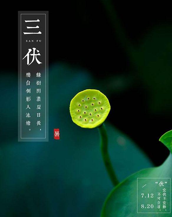 三伏养生丨百病不生