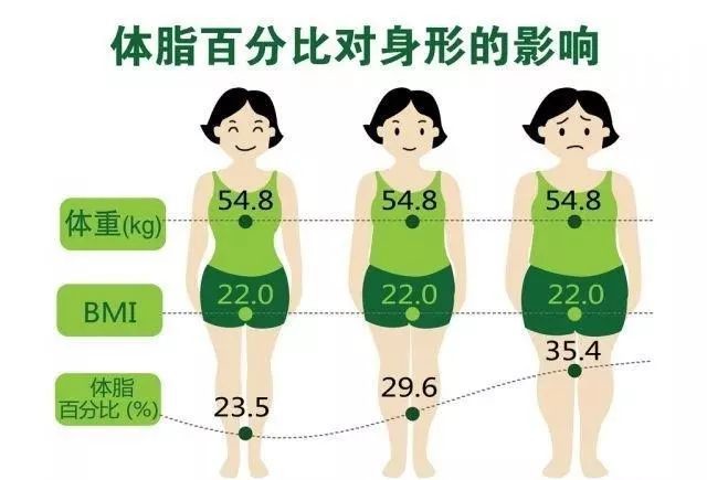 人体成分数据一目了然inbody体脂仪评测