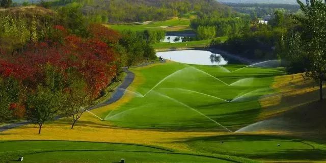 北京北辰高尔夫球场图片