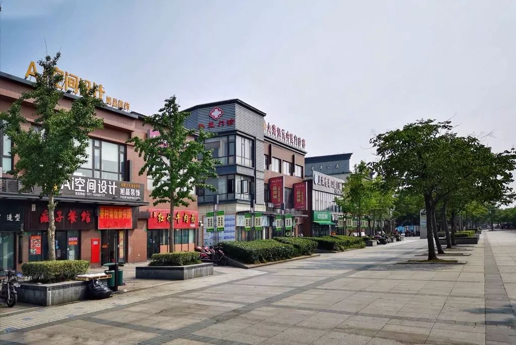 为了这个项目我等了十年