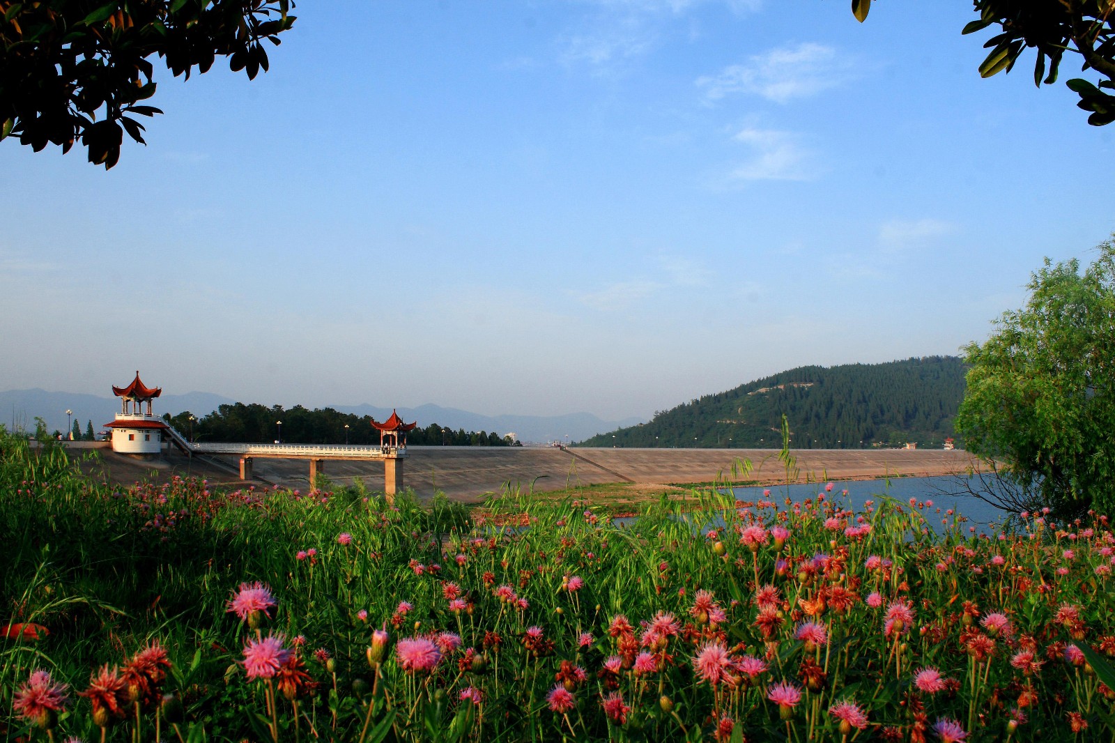 国家水利风景区,国家湿地公园:京山惠亭湖