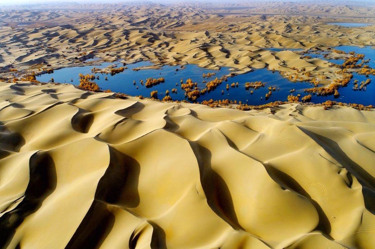 全球最大的流动沙漠,一天下了2年的雨量,沙漠到处都是"湖泊"