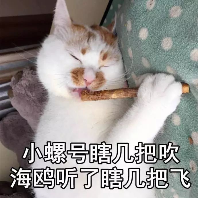 55555 你们俩都是辣鸡 你忙你的,我玩游戏 55555 你爸爸我绝不认输 吹