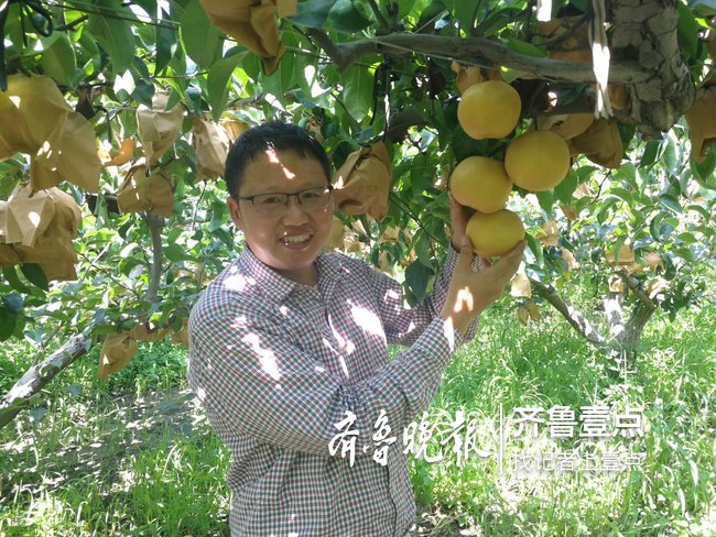 蜂蜜和鸡蛋可以一起吃吗会不会死人(蜂蜜和鸡蛋可以一起喝吗能一起吃吗)