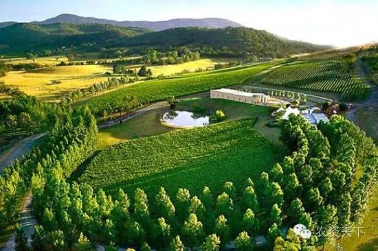 澳大利亚,一个农牧业发达的令你惊讶的国家!