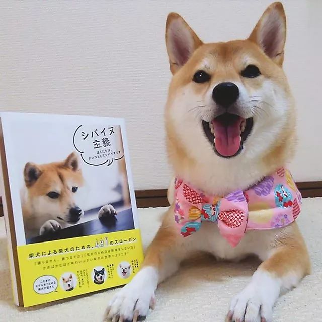 是个女孩子,charmy今年不到3岁,视频来源于网络▼大家也来感受一下…"