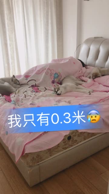 早上我媽媽進我房間偷拍的我們是這麼睡的