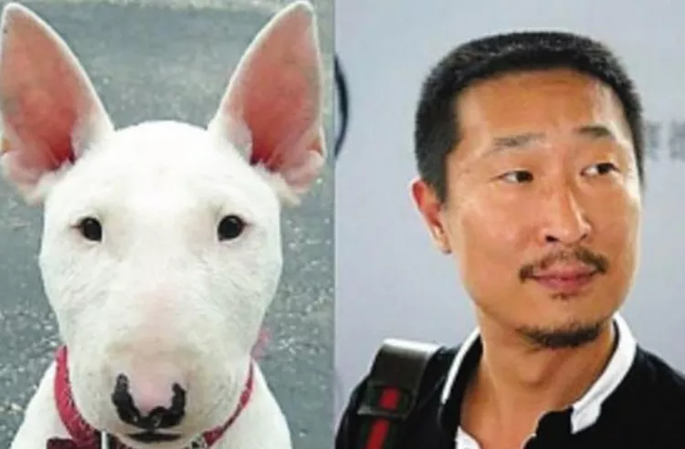 参演的电视剧中大多饰演一些性格突出的小角色,因为他有一双"老鼠眼"