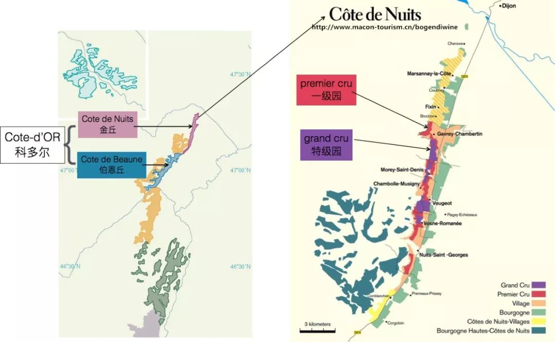 勃艮第的级别从高到低分别是 特级园,一级园,村庄酒,大区级