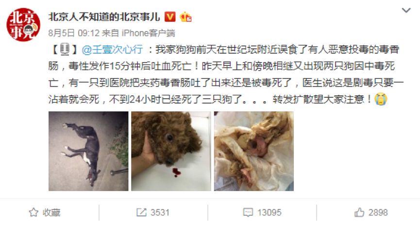 投下异烟肼之后,毒死的仅仅是狗吗