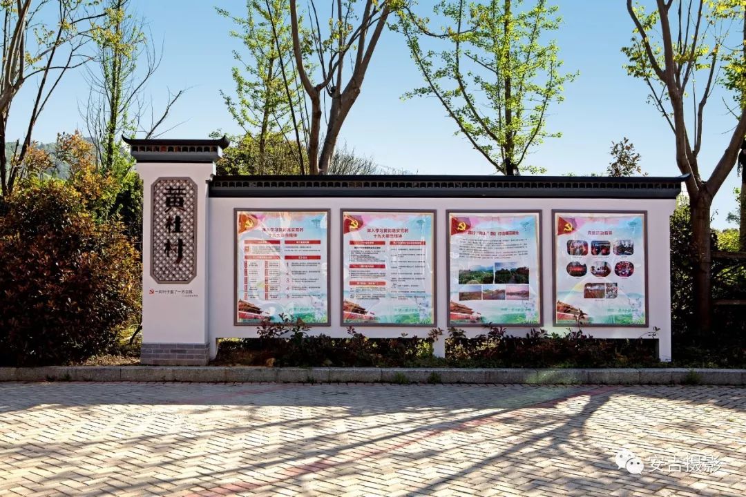 最美县域 · 美丽乡村精品示范村巡礼之十——黄杜村【茶韵飘香美名扬】__凤凰网