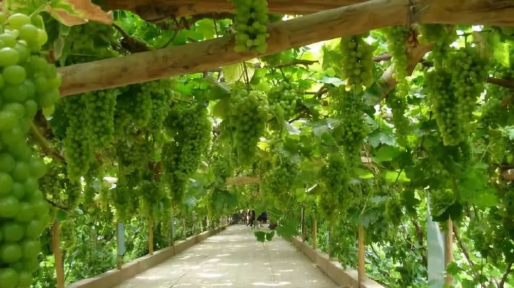 从乌鲁木齐出发,坐1小时"公交"就能去的绝美旅游胜地