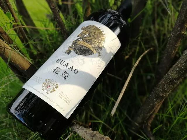 青铜峡葡萄酒产区 | 一个西北汉子的情怀