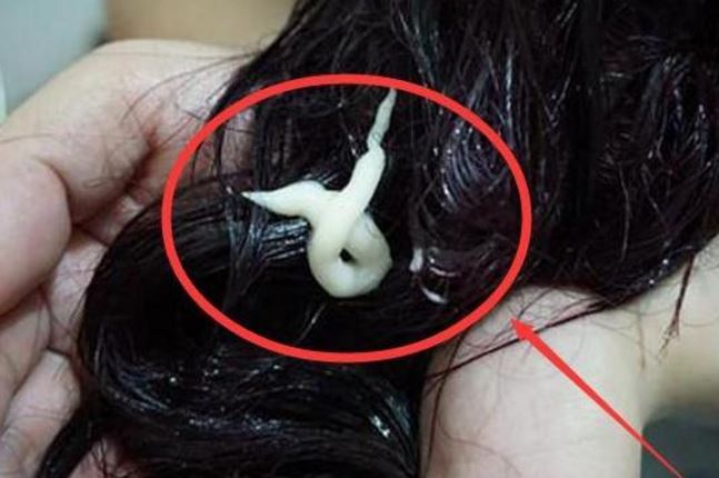 头发几天洗一次最健康90的人做错了怪不得头发干枯毛躁