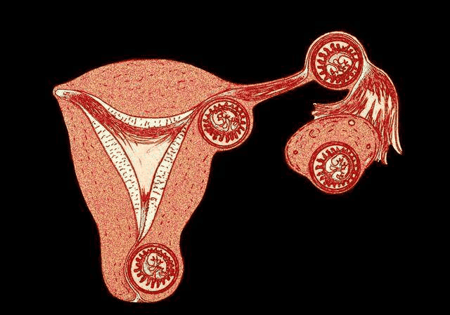 宫外孕可能会带来的危害都有什么?