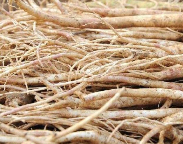 入秋后,防感冒,多喝"三种水",巧用大椎穴,振阳气,对抗感冒!