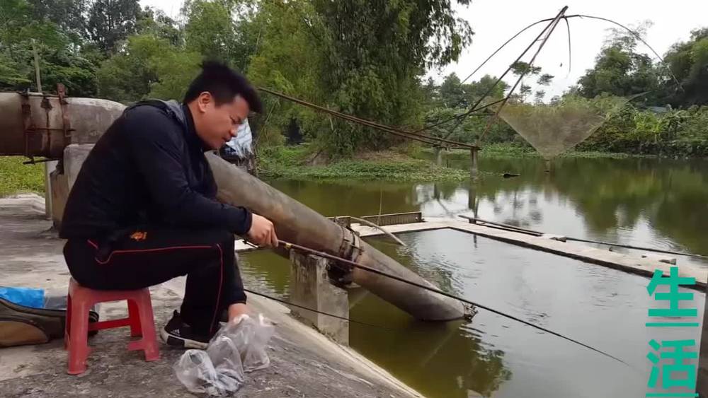 奇葩说大张伟19期