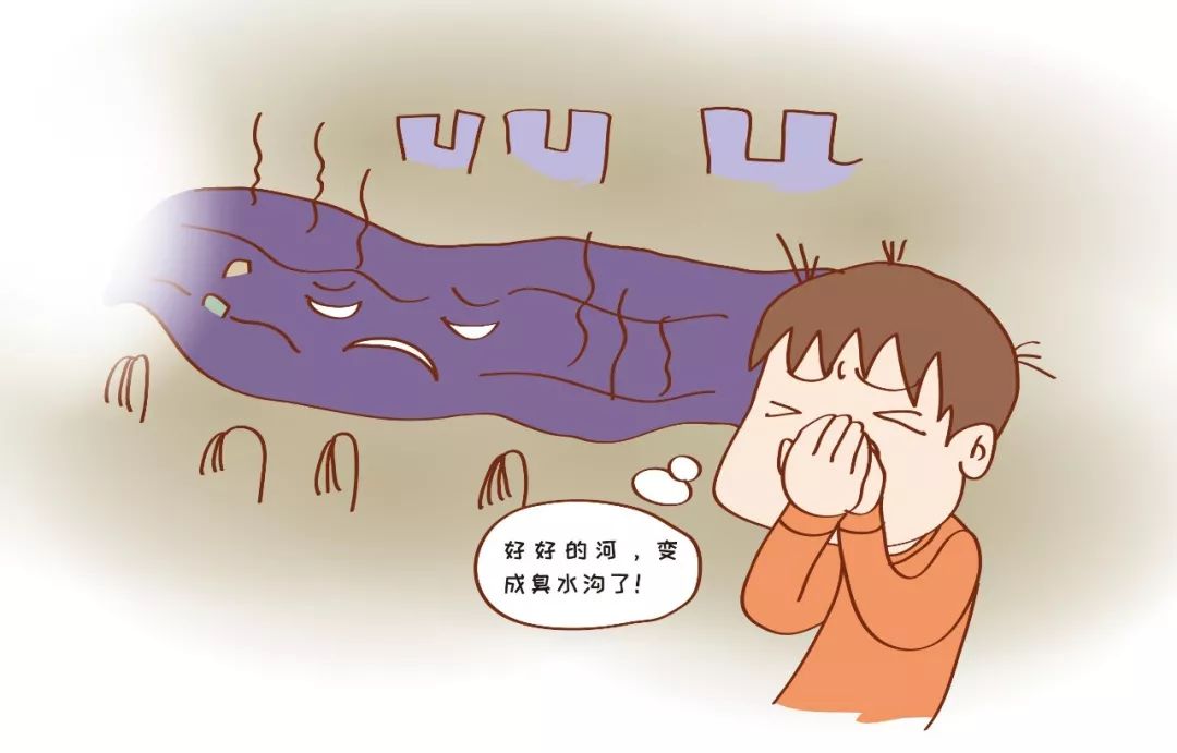 7年前臭味扑鼻,7年后酸臭依旧,这家牧场"熏跑"附近村民