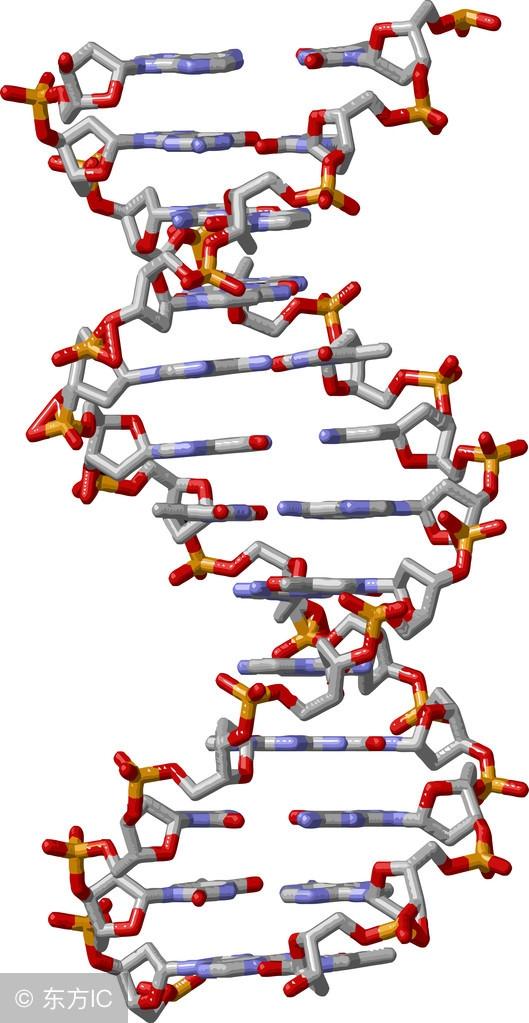 《来自星星的你》人类就是他们基因工程的产物