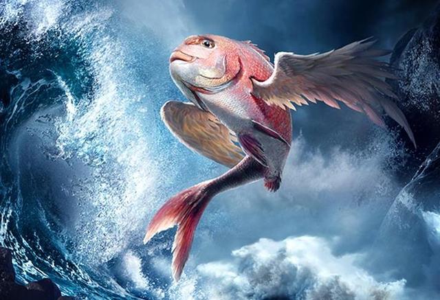 如果家里养了这种鱼,那么就等着躺着走上人生巅峰吧!