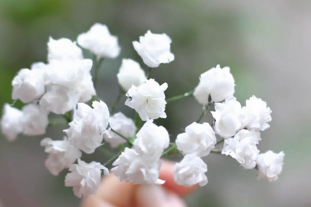 面巾纸做出的小白花美极了!折纸教程!