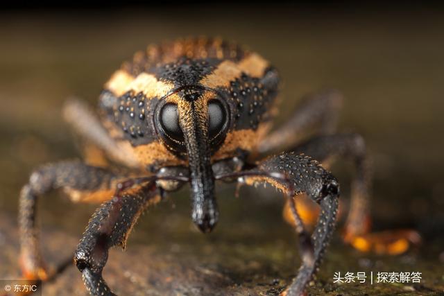 或许我们应该换个角度去看