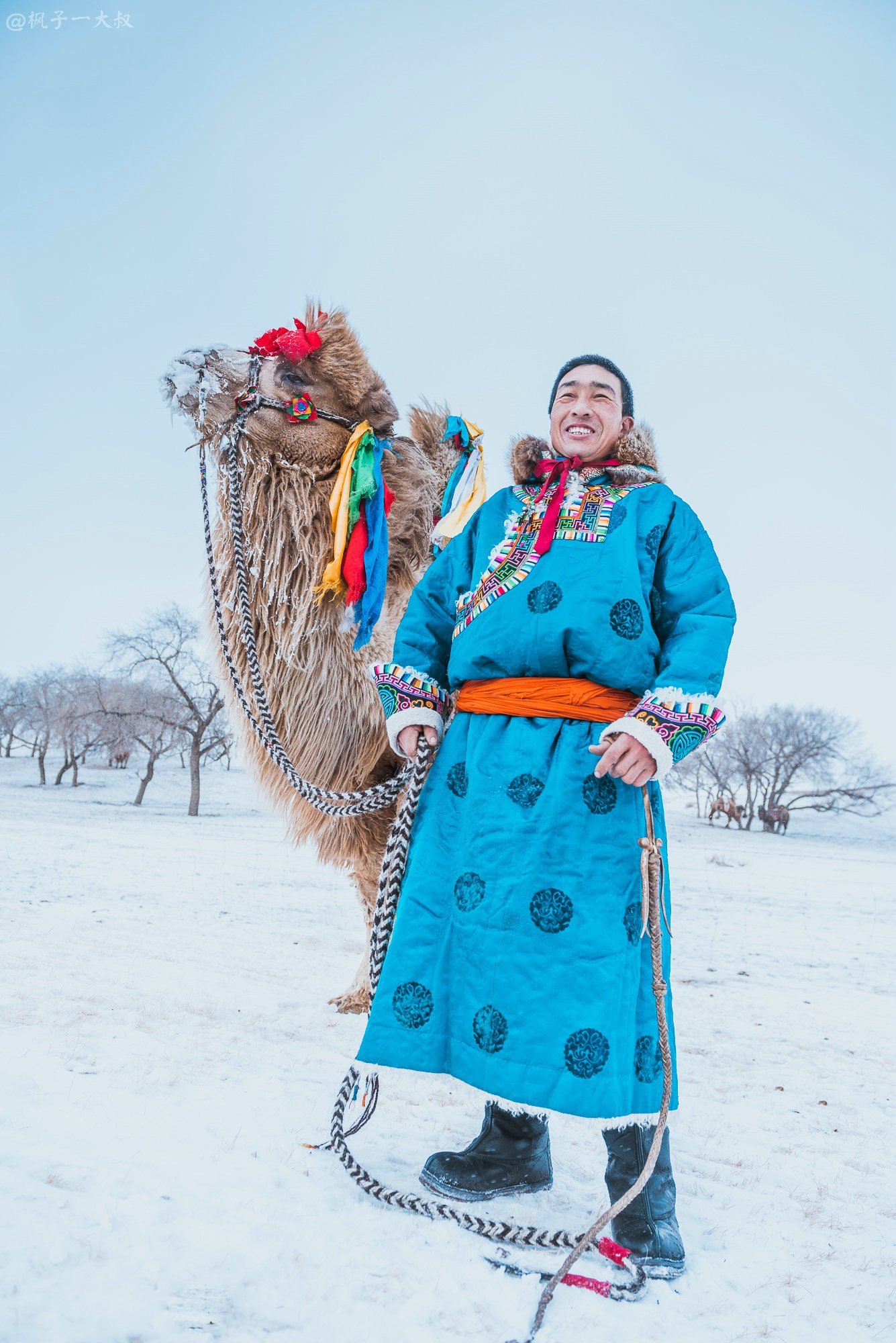 冰雪草原看骆驼选美,零下20度的西乌旗,哟美极了__凤凰网