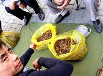 2018年10月22日那曲虫草市场冬虫夏草价格上涨,今日虫草行情走势