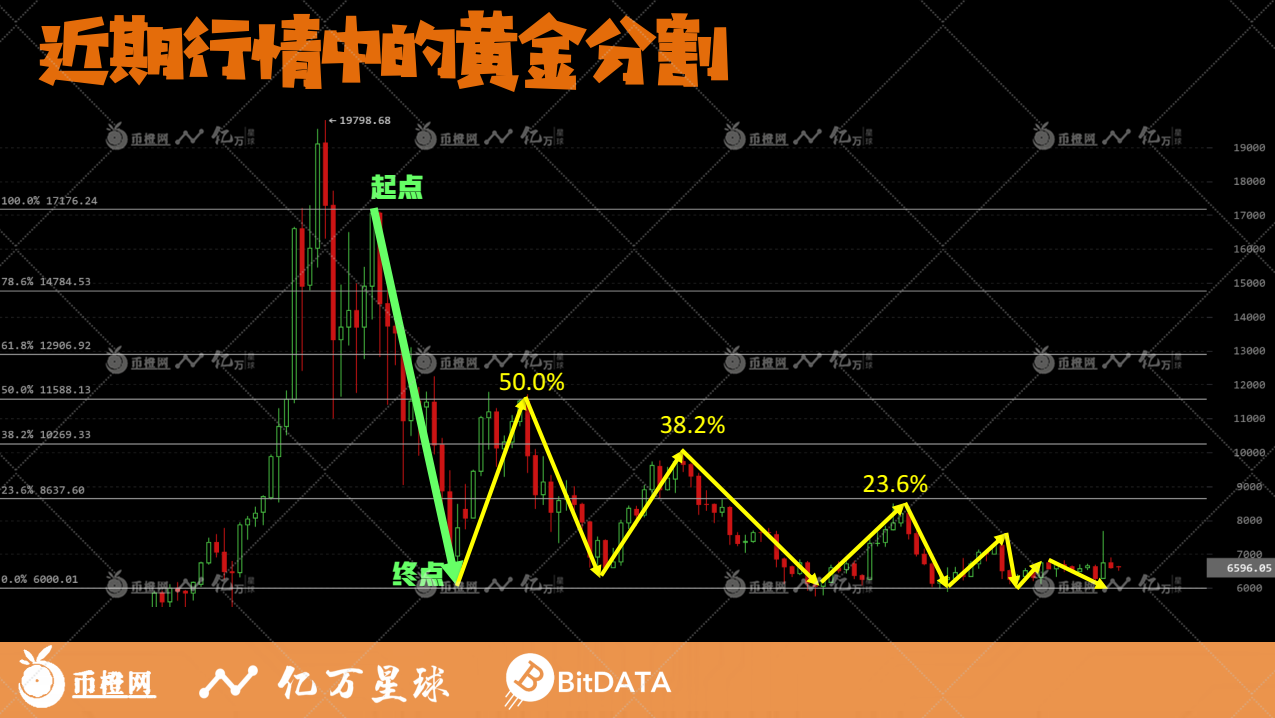 开讲啦丨黄金分割,分析精准简直神奇!