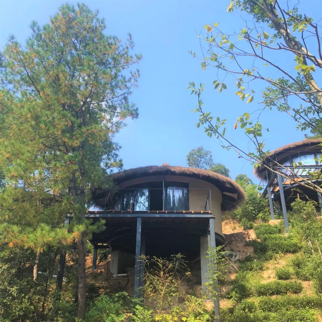 官宣| 安吉的"裸心谷"正式加入景澜酒店