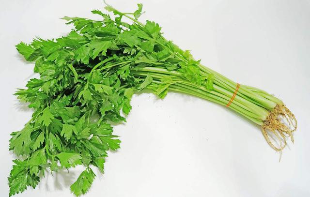 用报纸把芹菜包住,注意要把芹菜的根部露出来,用绳子把系紧