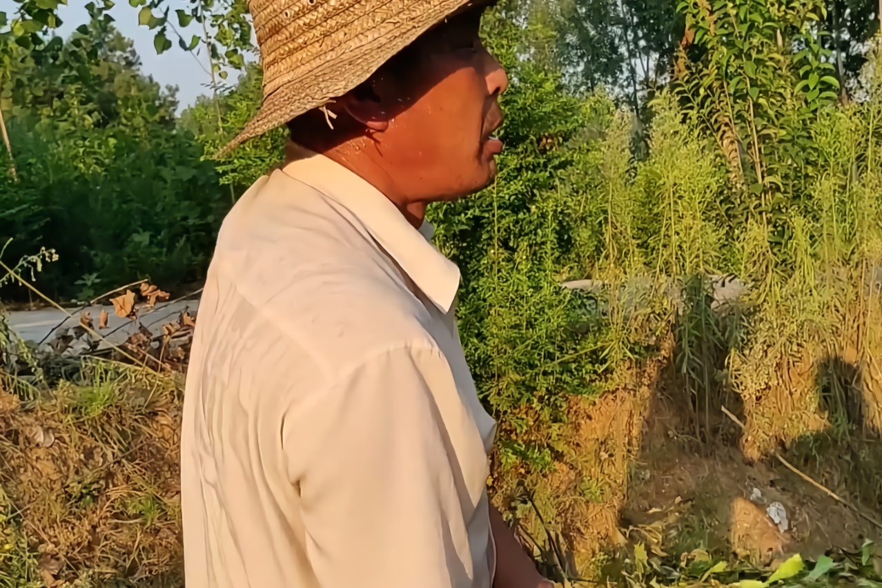 农村55岁大叔种的什么药材,大叔说出一亩地的收入,听完你别吃惊