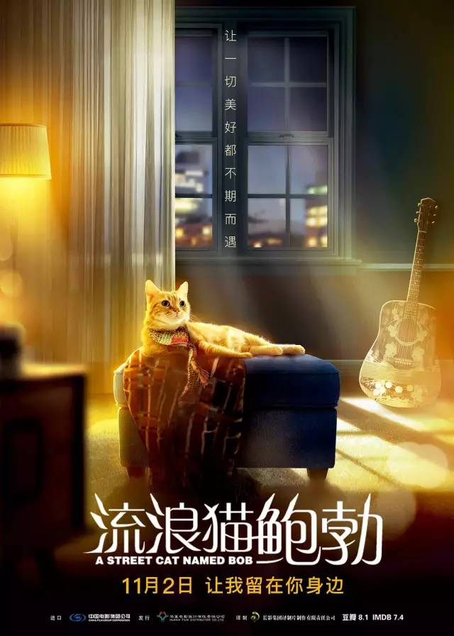 免费观影丨《流浪猫鲍勃》高口碑治愈,萌宠互动暖化人心