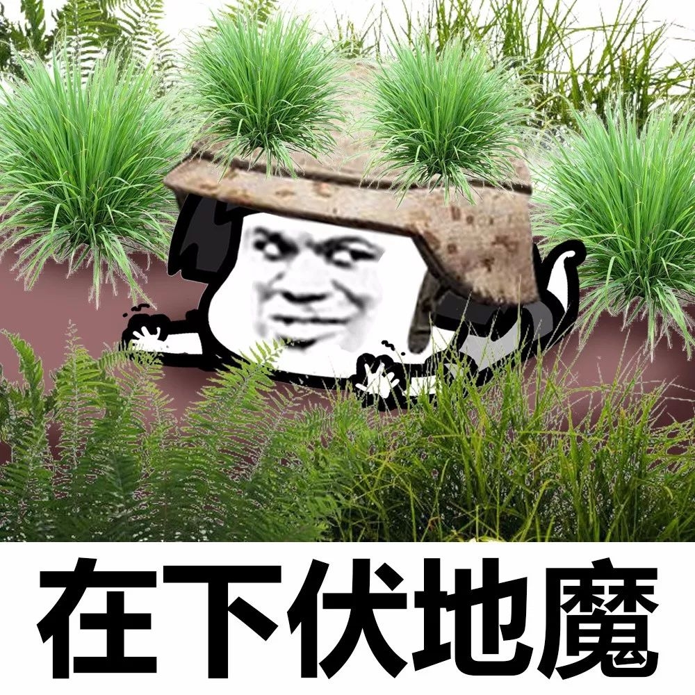 苟住,苟住就能吃鸡.