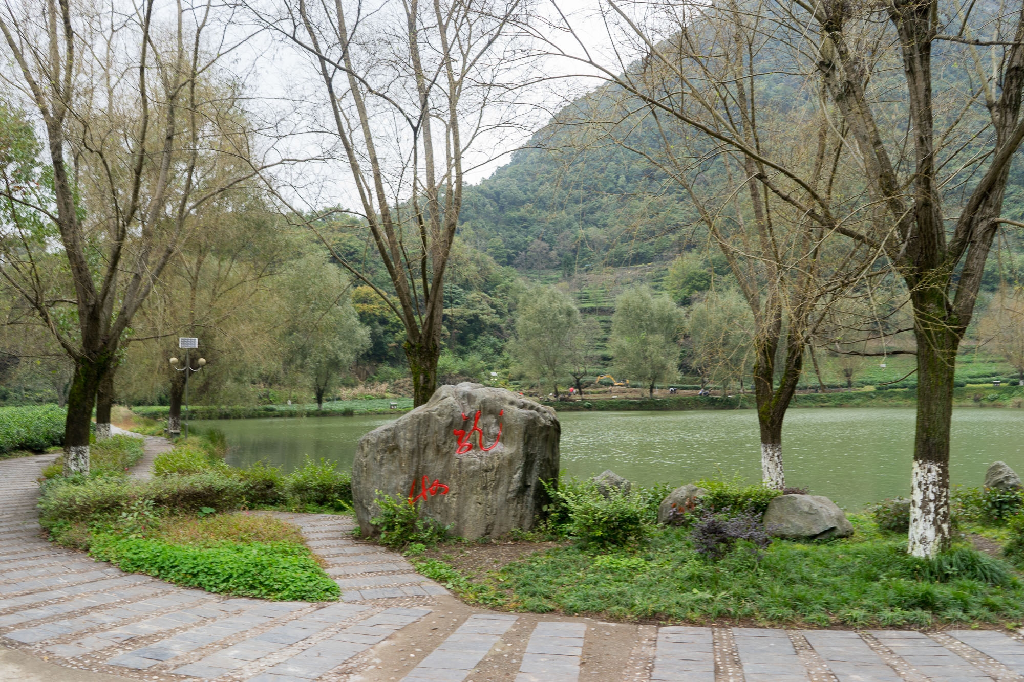 初到文县碧口镇,我们汽车从石龙沟进入后,一会云里一会雾中,一直在