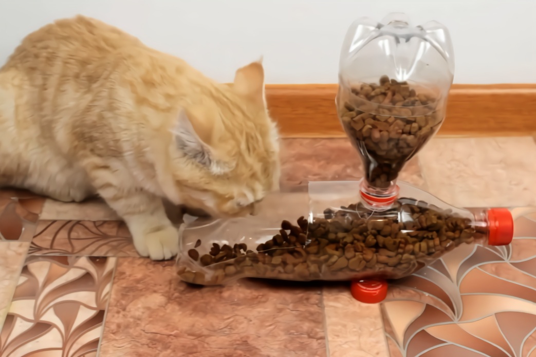 他用塑料瓶做了一个自动喂食器家里小猫吃食方便多了