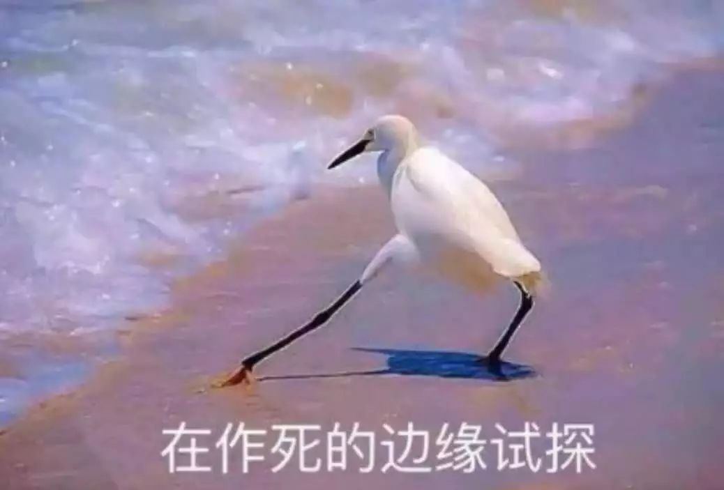 明朝开国皇帝 朱元璋的反贪污绝对是一视同仁,包括开国功臣,皇亲国戚