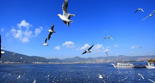 冬天 在楚雄彝海北岸邂逅一所温暖住所__凤凰网