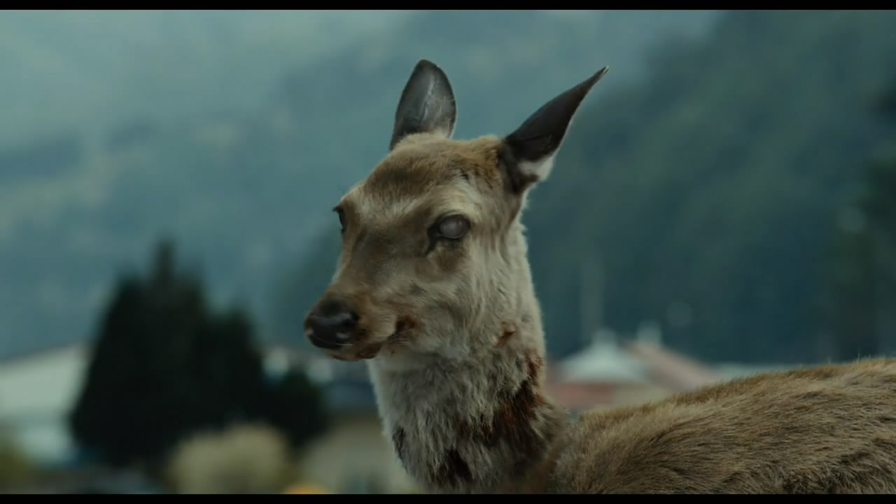 今天为大家分享并推荐的电影是《釜山行》.
