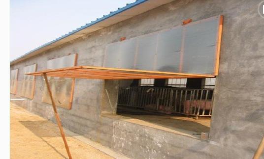 怎么建设猪舍最好?