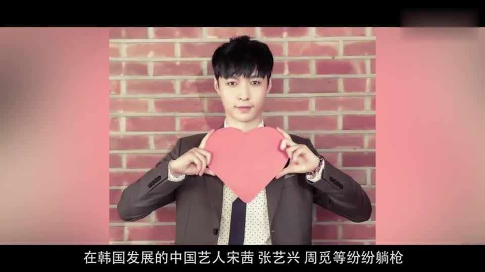 限韩令一出韩国网友炸锅了 宋茜张艺兴坚决封杀