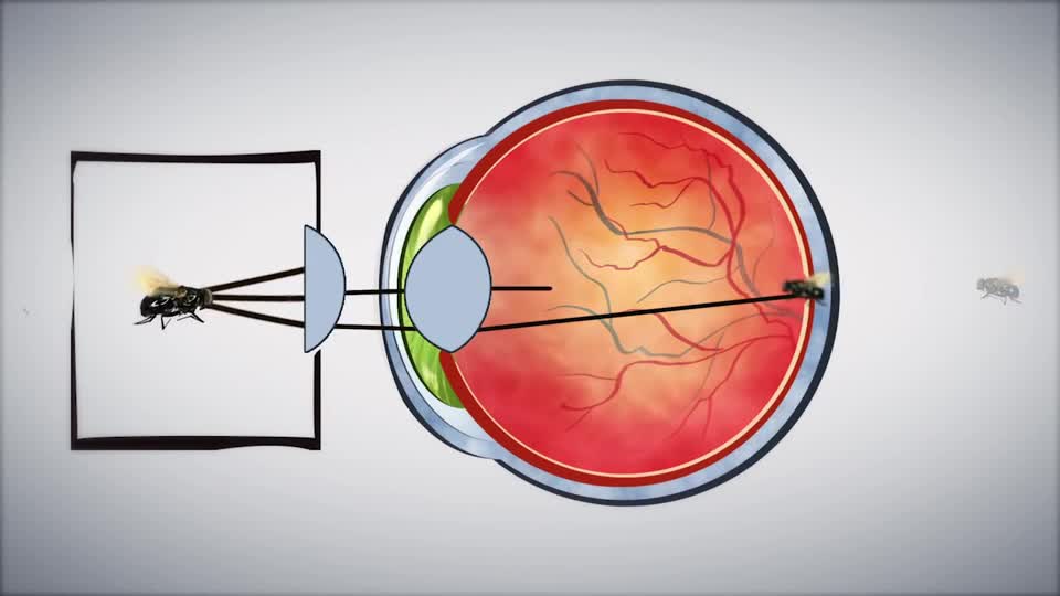 头戴眼镜光学镜片原理