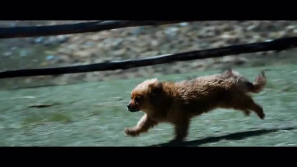 血狼犬终极预告人狗狼之间折射时代大主题