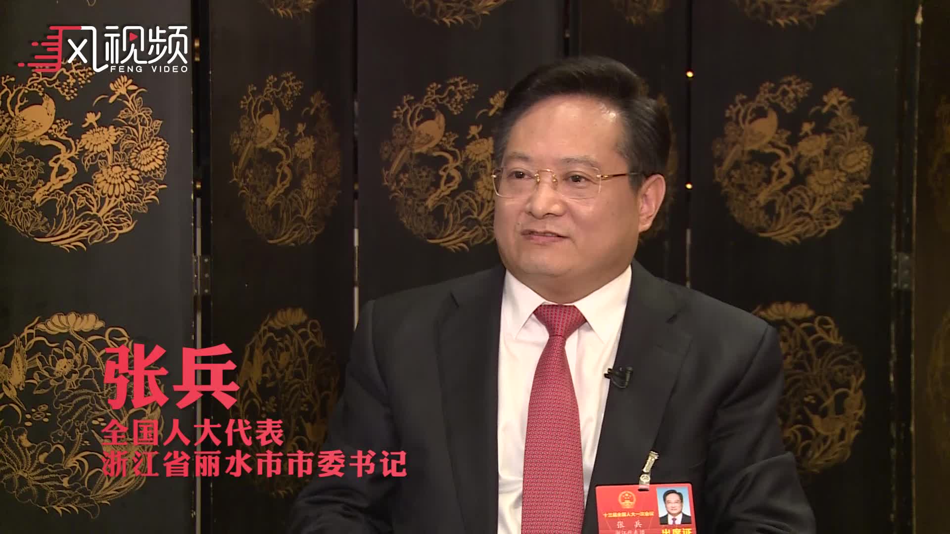 张兵建设生态丽水提升老百姓幸福感